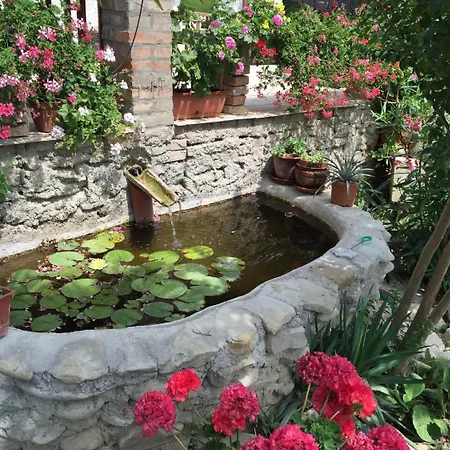 Leamorine White House Couette-café