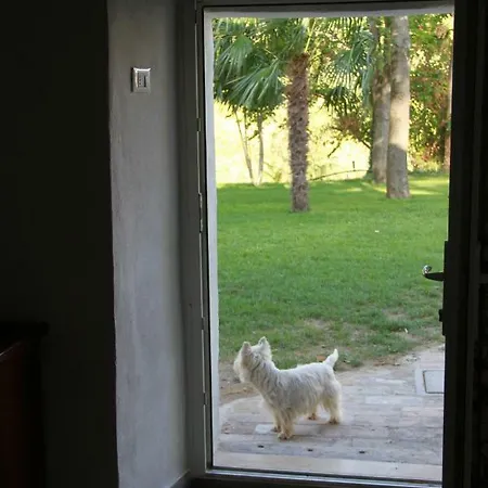 Leamorine White House Alojamento de Acomodação e Pequeno-almoço