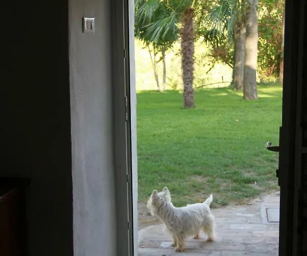 Leamorine White House Frühstückspension